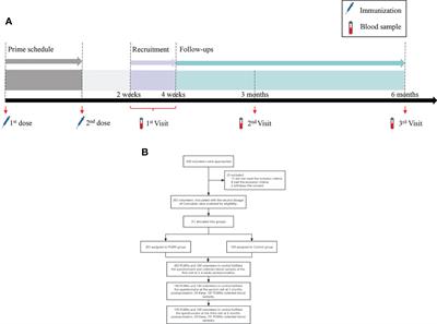 The safety and immunogenicity of a two-dose schedule of CoronaVac, and the immune persistence of vaccination for six months, in people living with HIV: A multicenter prospective cohort study